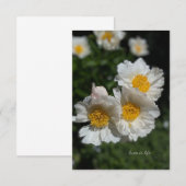 Mooie witte pioenen notitiekaartje (Voorkant / Achterkant)