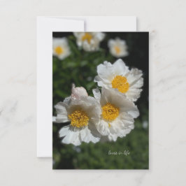 Mooie witte pioenen notitiekaartje