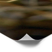Mooie witte plant macro fotografie poster (Hoek)