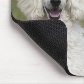 Mooie witte poedel 2025 hondenkalender muismat (Hoek)