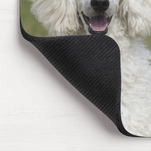 Mooie witte poedel 2025 hondenkalender muismat (Hoek)