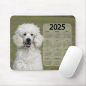 Mooie witte poedel 2025 hondenkalender muismat (Met muis)