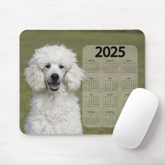 Mooie witte poedel 2025 hondenkalender muismat (Met muis)