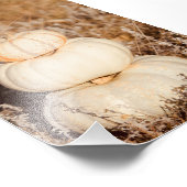 Mooie witte pompoenen herfstweide foto afdruk (Hoek)