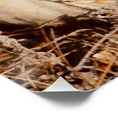 Mooie witte pompoenen herfstweide perfect poster (Hoek)