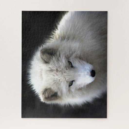 Mooie witte poolvos, puzzel legpuzzel (Verticaal)