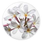Mooie witte pruimen of Frangipani-bloem Keramische Knop (Voorkant)