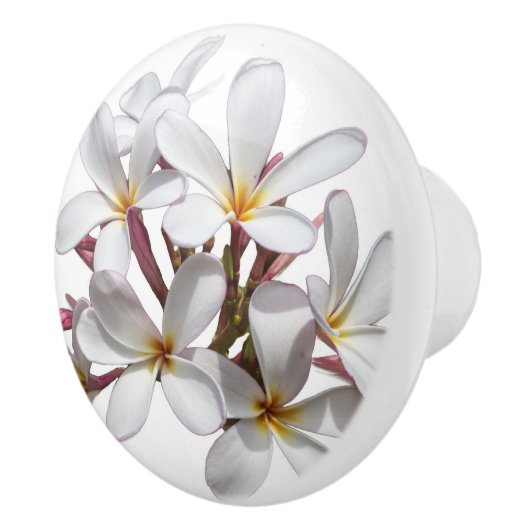 Mooie witte pruimen of Frangipani-bloem Keramische Knop (Rechts)
