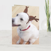 Mooie witte rendierhond Rood kerstfeest Feestdagen Kaart (Achterkant)