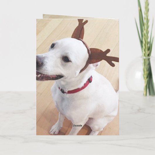 Mooie witte rendierhond Rood kerstfeest Feestdagen Kaart (Achterkant)