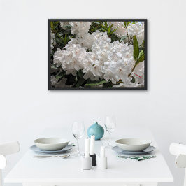 Mooie witte rododendron blooms perfect poster