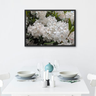 Mooie witte rododendron blooms perfect poster