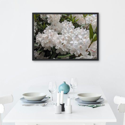 Mooie witte rododendron blooms perfect poster