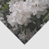 Mooie witte rododendron blooms tissuepapier (Detail)