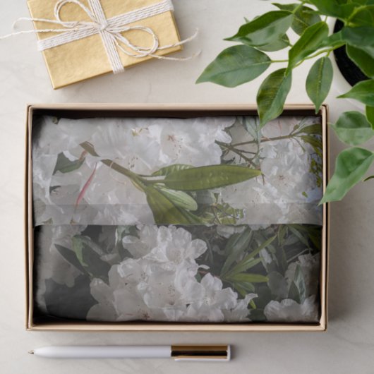 Mooie witte rododendron blooms tissuepapier (Geschenk)