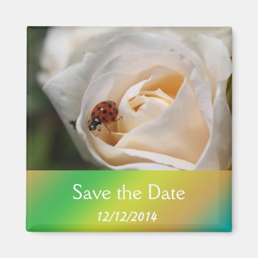 Mooie witte roos bloem save the date magneet (Voorkant)