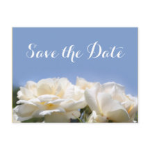 mooie witte roos bloemen save the date