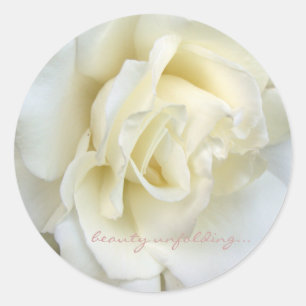 Mooie witte roos kleine sticker