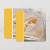 Mooie witte roos verjaardagsfeestje kaart (Voorkant / Achterkant)