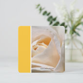 Mooie witte roos verjaardagsfeestje kaart (Staand voorkant)