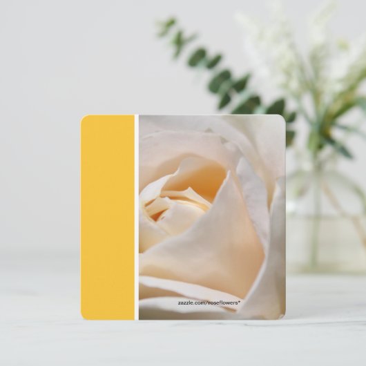 Mooie witte roos verjaardagsfeestje kaart (Staand voorkant)