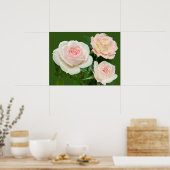 Mooie witte roze rozen poster (Keuken)