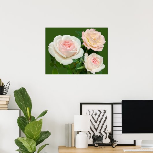 Mooie witte roze rozen poster (Thuiskantoor)