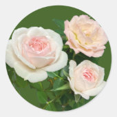 Mooie witte roze rozen ronde sticker (Voorkant)