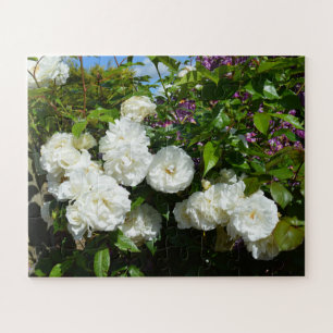 Mooie witte rozen legpuzzel