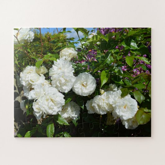 Mooie witte rozen legpuzzel (Horizontaal)