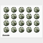Mooie Witte Rozen  Ronde Sticker (Vel)
