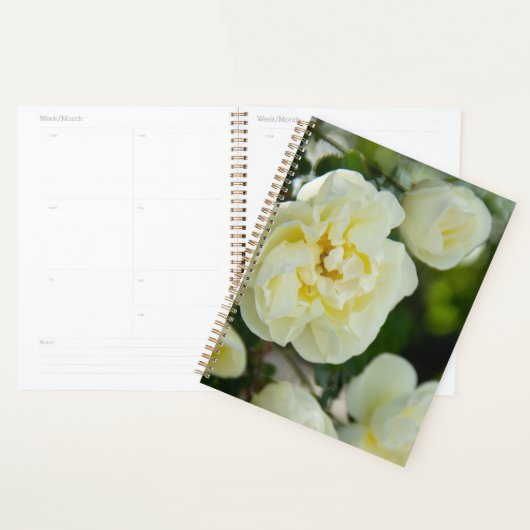 Mooie witte rozen voor positief  planner (Display)