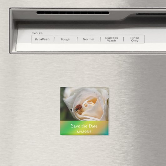 Mooie witte rozenbloem bespaart de datum magneet (Insitu (Vaatwasser))