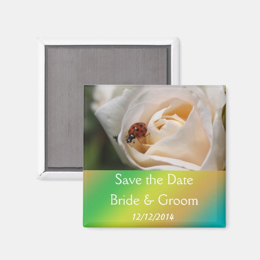 Mooie witte rozenbloem bespaart de datum magneet (Voorkant / Achterkant)