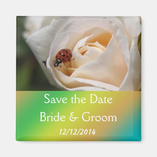 Mooie witte rozenbloem bespaart de datum magneet (Voorkant)