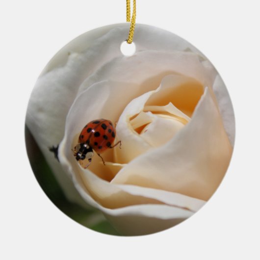 mooie witte rozenbloem en ladybug keramisch ornament (Voorkant)