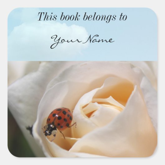 mooie witte rozenbloem en ladybug vierkante sticker (Voorkant)