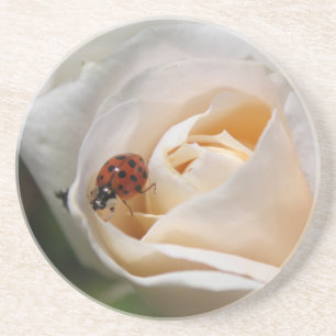 mooie witte rozenbloem en ladybug zandsteen onderzetter