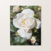 mooie witte rozenbloem, liefde en romance legpuzzel (Verticaal)
