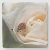 Mooie witte rozenbloem, rode ladybug stenen onderzetter (Voorkant)