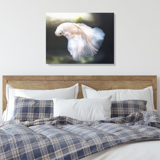 Mooie witte Siamese Betta die vis vecht Canvas Afdruk (Insitu (Slaapkamer))
