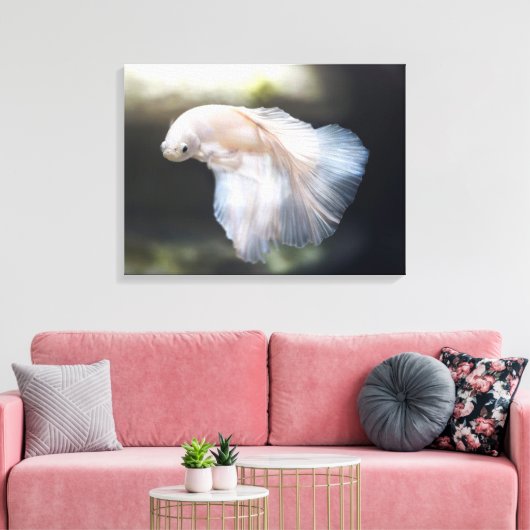 Mooie witte Siamese Betta die vis vecht Canvas Afdruk (Insitu (Woonkamer))