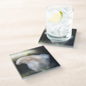 Mooie witte Siamese Betta die vis vecht Glazen Onderzetter (Schuin)