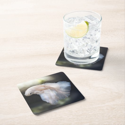 Mooie witte Siamese Betta die vis vecht Kartonnen Onderzetters (Insitu)