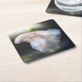 Mooie witte Siamese Betta die vis vecht Kartonnen Onderzetters (Schuin)