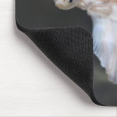 Mooie witte Siamese Betta die vis vecht Muismat (Hoek)