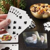 Mooie witte Siamese Betta die vis vecht Pokerkaarten (Insitu)