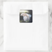 Mooie witte Siamese Betta die vis vecht Vierkante Sticker (Tas)