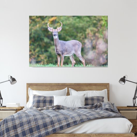 Mooie witte-staartdroer in het veld canvas afdruk (Insitu (Slaapkamer))