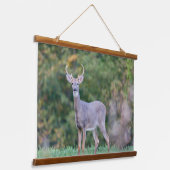 Mooie witte-staartdroer in het veld hangend wandkleed (Gebogen)